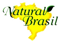 Açaí Brasília I Natural Brasil