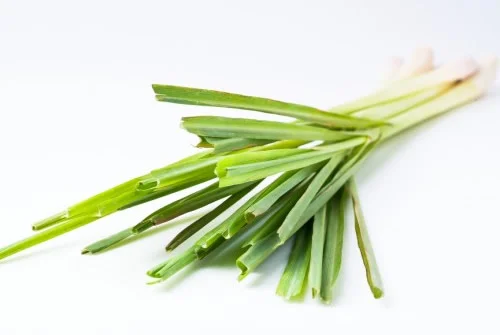 capim-cidreira-natural-brasil