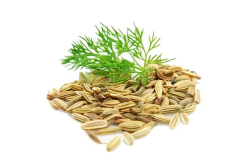 erva-doce-natural-brasil