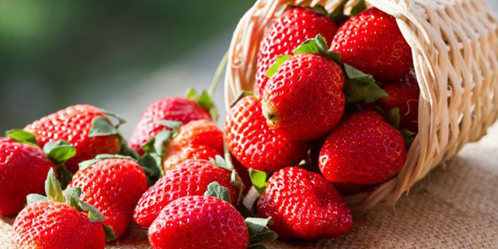 5 receitas com morango para emagrecer - light e saborosa